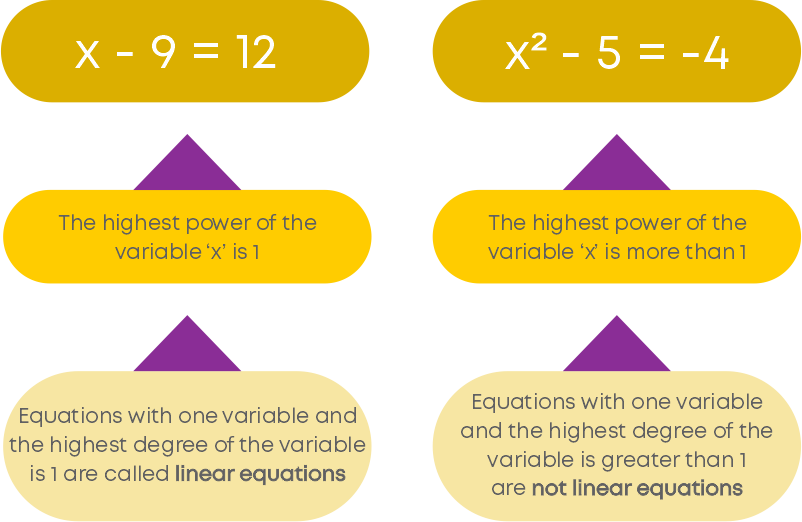 Linear Equations in One Variable Class 8 | Blog