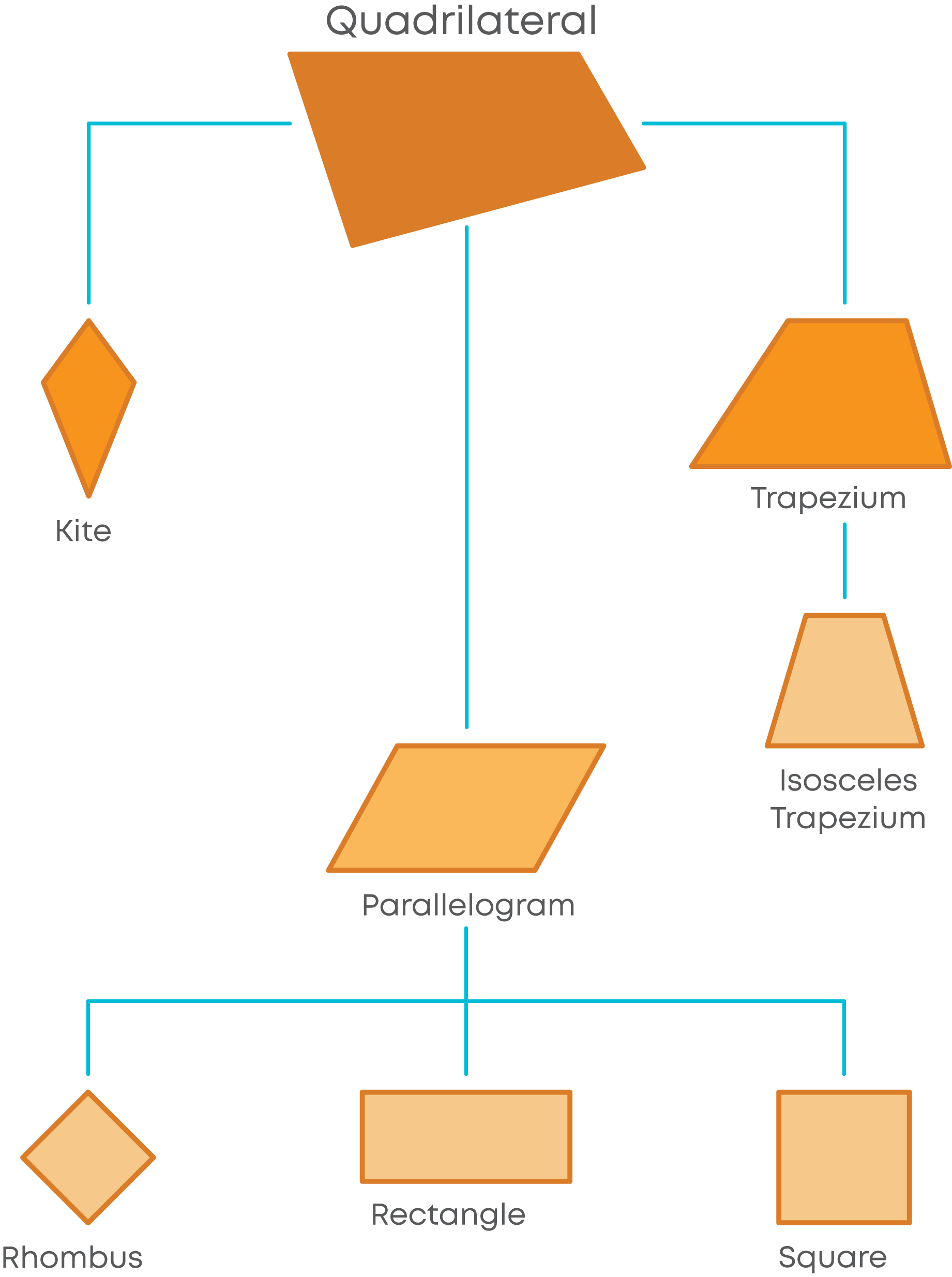 trapezium quadrilateral