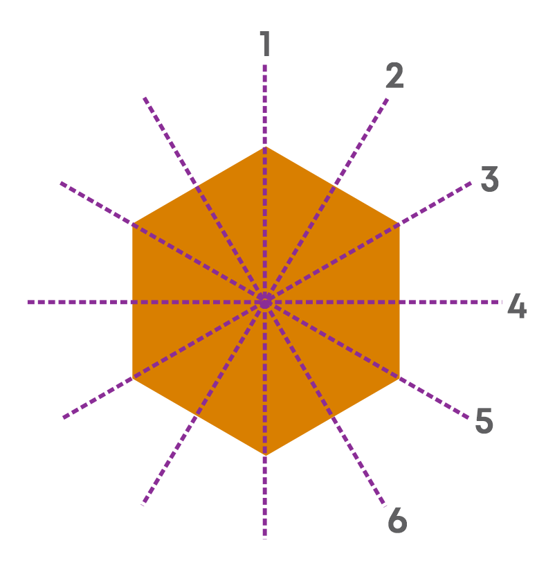 Lines of Symmetry in Polygon