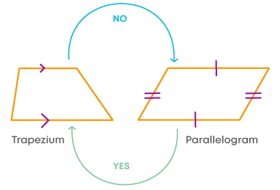 Understanding Quadrilaterals 8